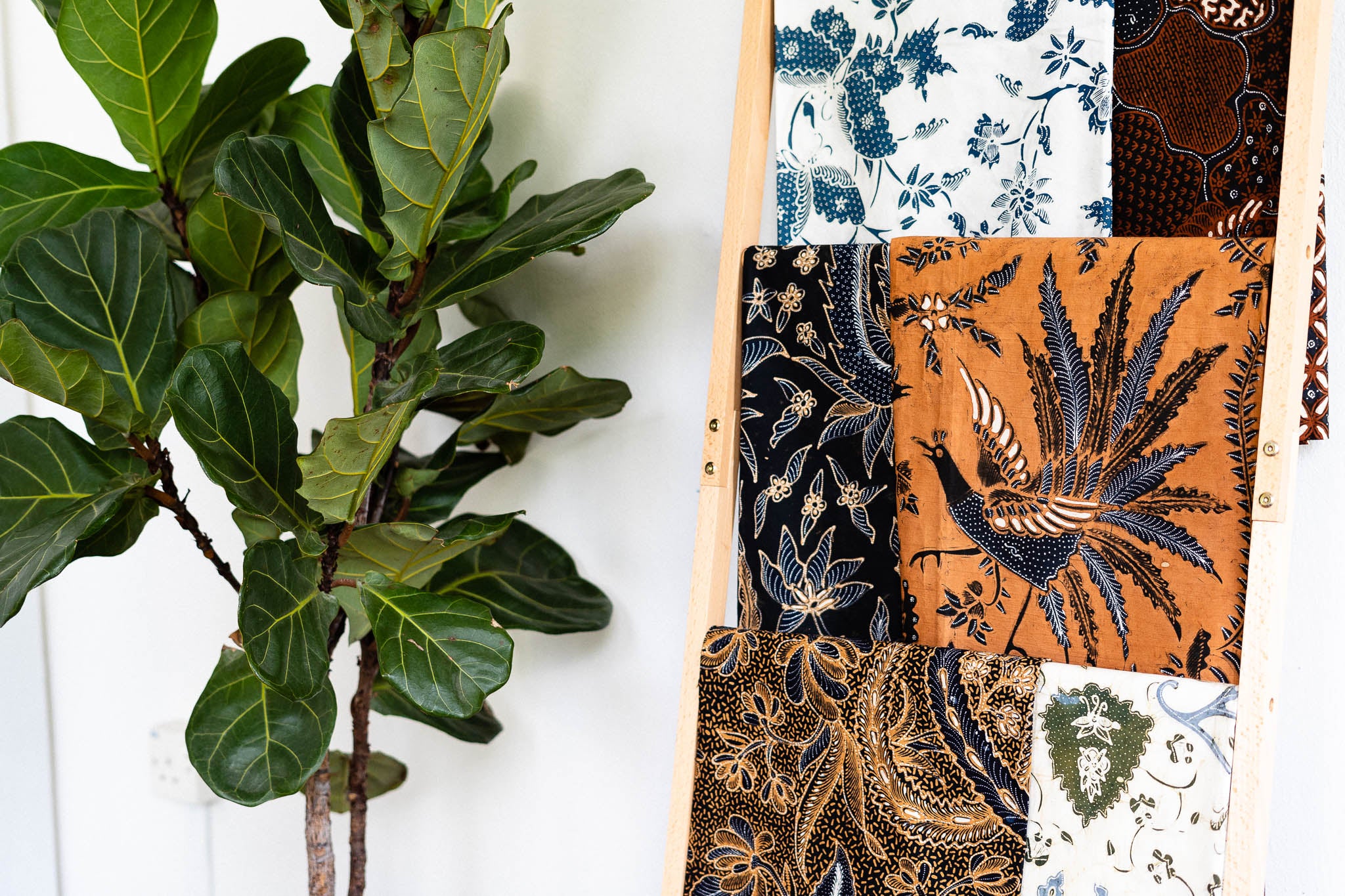 Canvasses of Limitless Imagination