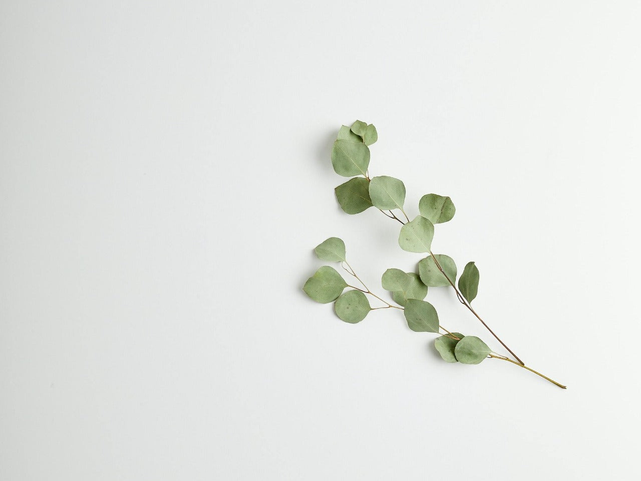 In praise of slowness